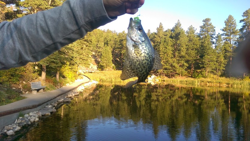 Loaves, Fish and Faith